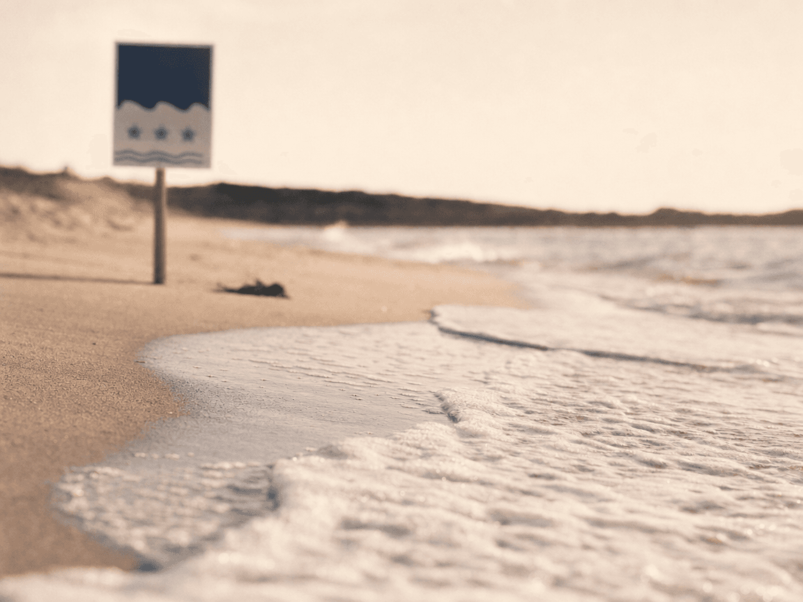 Une pancarte officielle « Qualité de l'eau : Excellente » plantée dans le sable en arrière-plan flou, au premier plan une vague mousseuse qui se retire sur le rivage sous une lumière de fin d'après-midi, légèrement surexposée, comme une promesse qui s'efface.