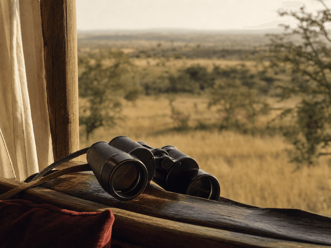 Une paire de jumelles posée sur le rebord en bois d'une véranda en plein air, fond de savane dorée légèrement floutée sous la lumière rasante du matin.